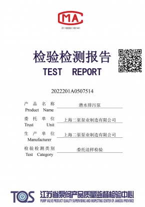 排污泵檢測報(bào)告50WQ15-15-1